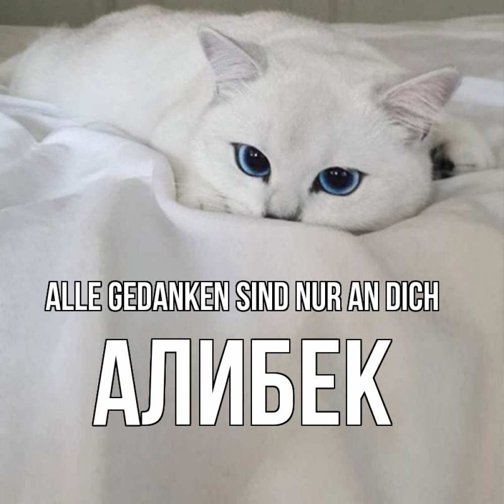 Открытка на каждый день с именем, Алибек Alle Gedanken sind nur an dich я очень по тебе скучаю и тоскую Прикольная открытка с пожеланием онлайн скачать бесплатно 