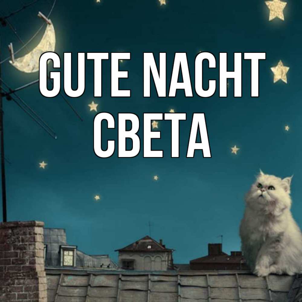 Открытка на каждый день с именем, Света Gute Nacht белый кот сидит на крыше Прикольная открытка с пожеланием онлайн скачать бесплатно 
