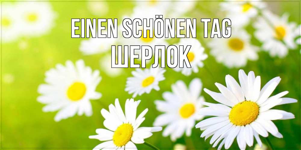 Открытка на каждый день с именем, Шерлок Einen schönen Tag открытка с ромашками на зеленом фоне Прикольная открытка с пожеланием онлайн скачать бесплатно 
