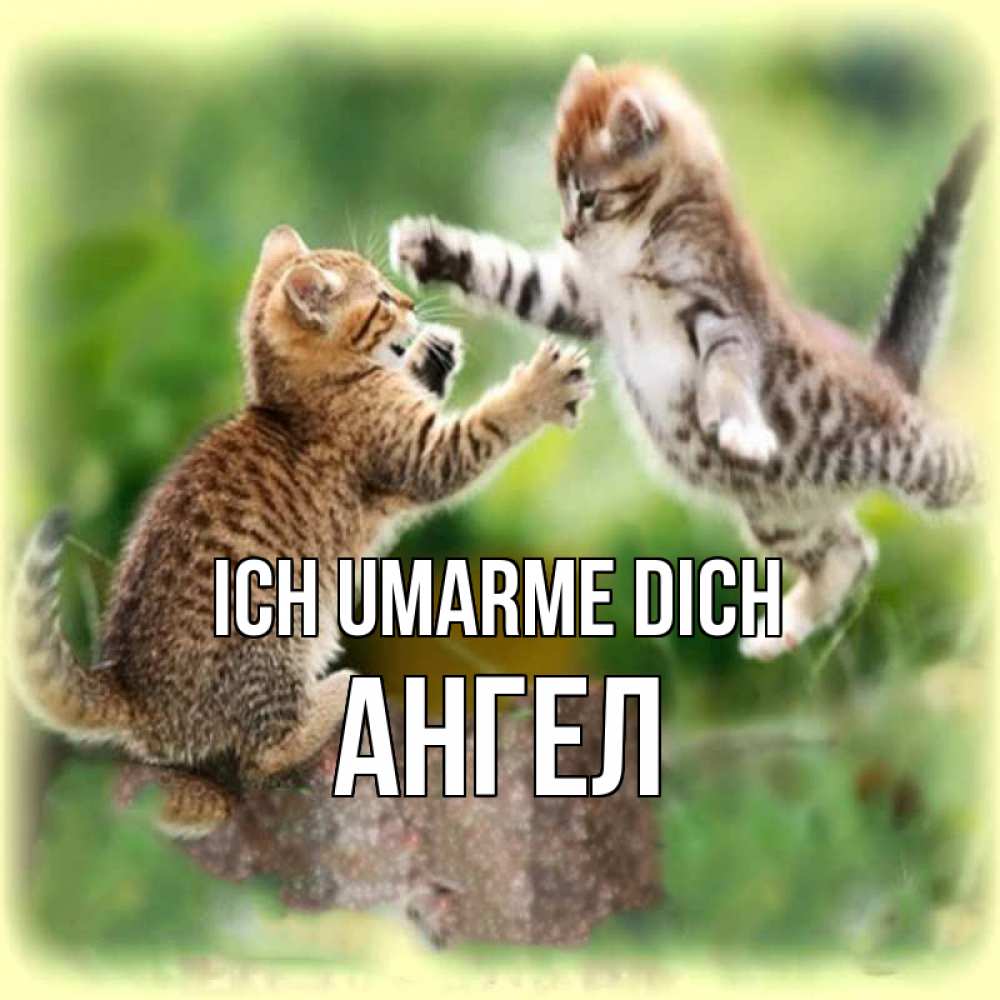Открытка на каждый день с именем, Ангел Ich umarme dich игры котят Прикольная открытка с пожеланием онлайн скачать бесплатно 