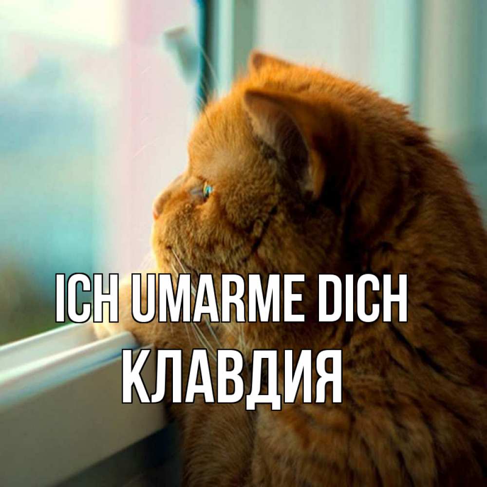Открытка на каждый день с именем, Клавдия Ich umarme dich большой огромный рыжий котяра Прикольная открытка с пожеланием онлайн скачать бесплатно 