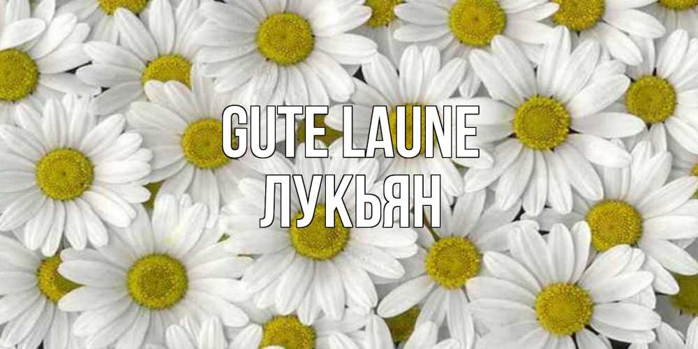 Открытка на каждый день с именем, Лукьян Gute Laune поляна ромашек Прикольная открытка с пожеланием онлайн скачать бесплатно 