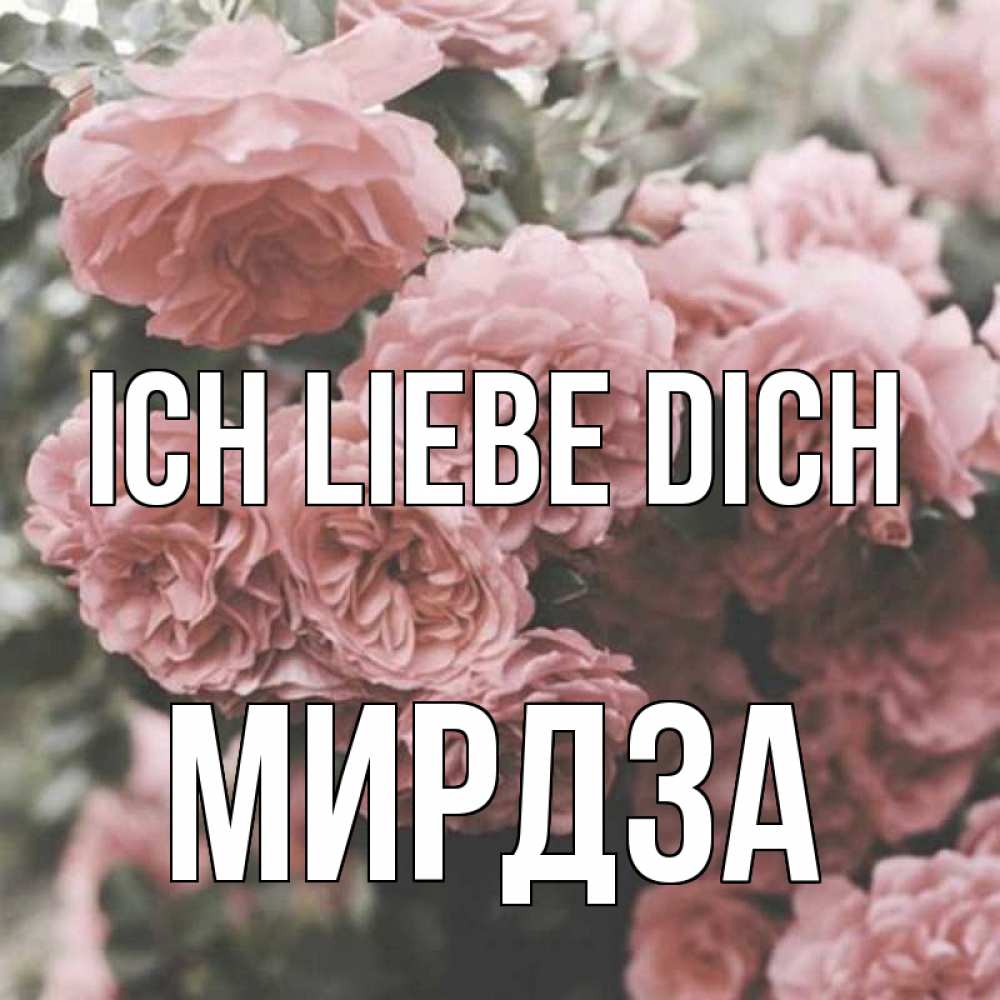 Открытка на каждый день с именем, Мирдза Ich liebe dich розы 3 Прикольная открытка с пожеланием онлайн скачать бесплатно 