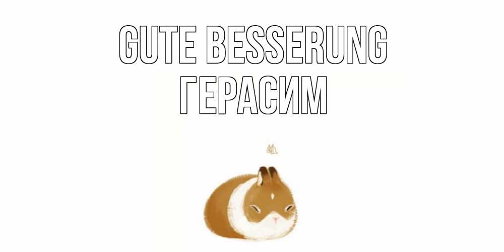 Открытка на каждый день с именем, Герасим Gute Besserung морская свинка на открытке с пожеланиями не болеть Прикольная открытка с пожеланием онлайн скачать бесплатно 