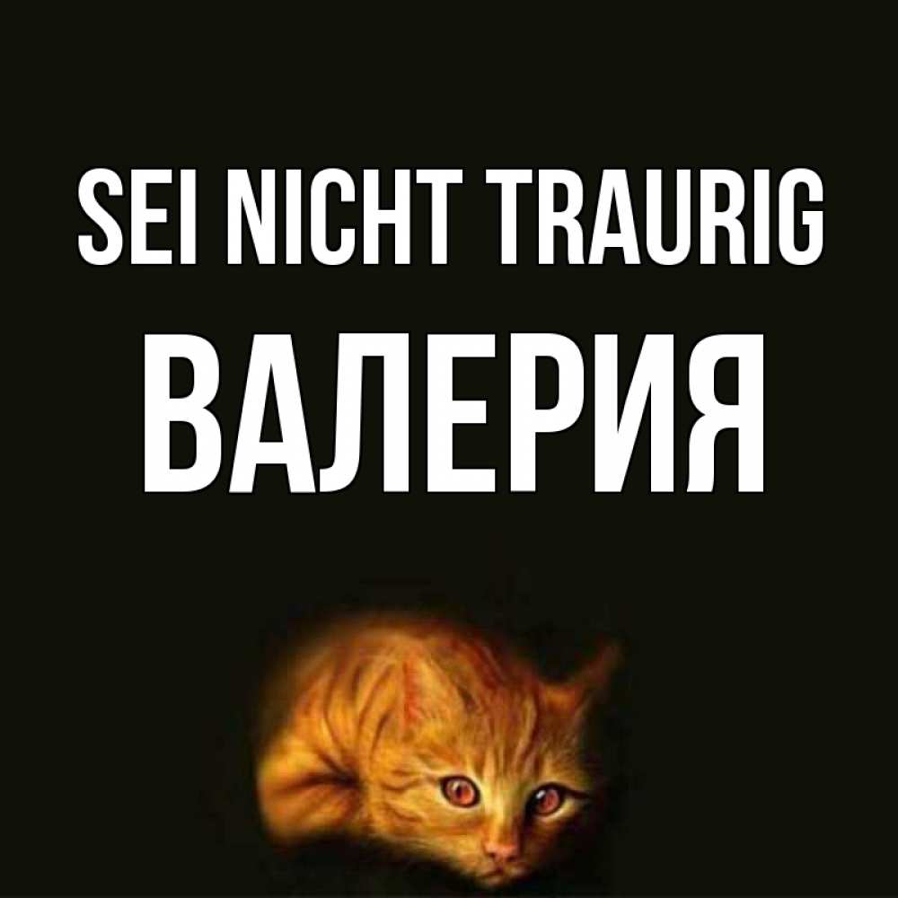 Открытка на каждый день с именем, Валерия Sei nicht traurig лежащий кот в темноте Прикольная открытка с пожеланием онлайн скачать бесплатно 