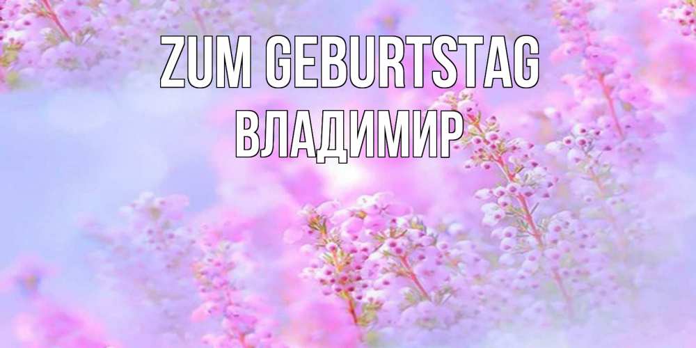 Картинка Zum Geburtstag, Владимир