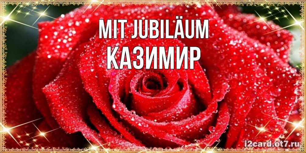 Открытка на каждый день с именем, Казимир Mit Jubiläum роса и роза. открытка с красивой розой Прикольная открытка с пожеланием онлайн скачать бесплатно 