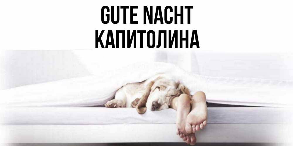 Открытка на каждый день с именем, Капитолина Gute Nacht кровать с собакой пожелание сладких снов и спокойной ночи Прикольная открытка с пожеланием онлайн скачать бесплатно 