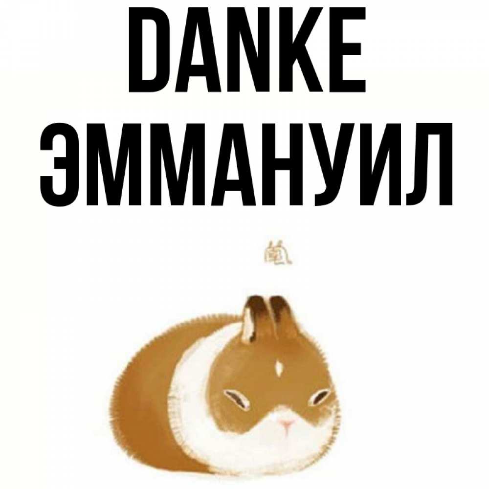 Открытка на каждый день с именем, Эммануил Danke коричнево белый домашний питомец Прикольная открытка с пожеланием онлайн скачать бесплатно 