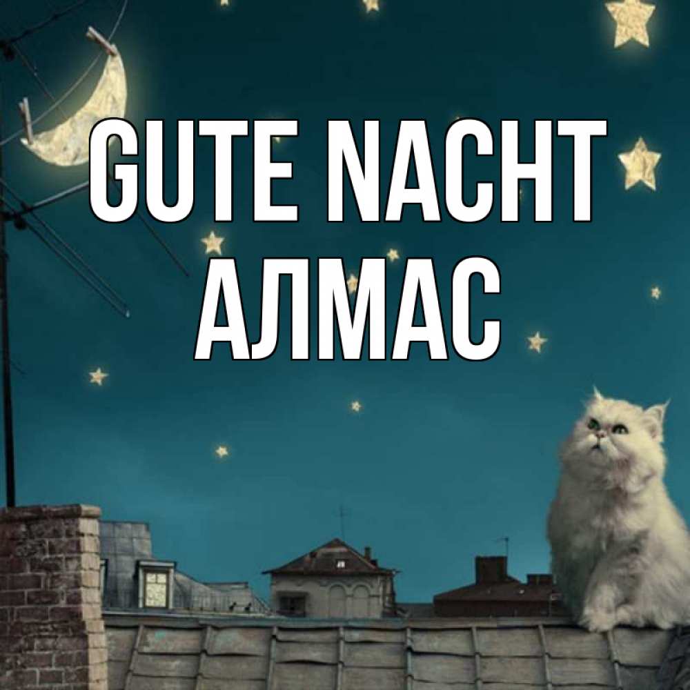 Открытка на каждый день с именем, Алмас Gute Nacht белый кот сидит на крыше Прикольная открытка с пожеланием онлайн скачать бесплатно 