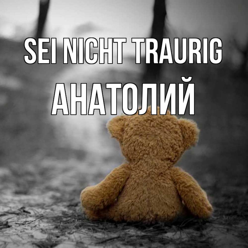 Открытка на каждый день с именем, Анатолий Sei nicht traurig медведь со спин Прикольная открытка с пожеланием онлайн скачать бесплатно 