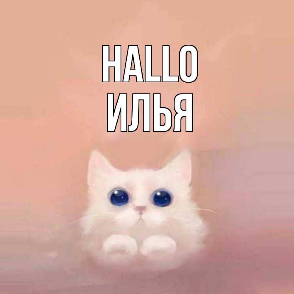 Открытка на каждый день с именем, Илья Hallo котик белый в полете Прикольная открытка с пожеланием онлайн скачать бесплатно 