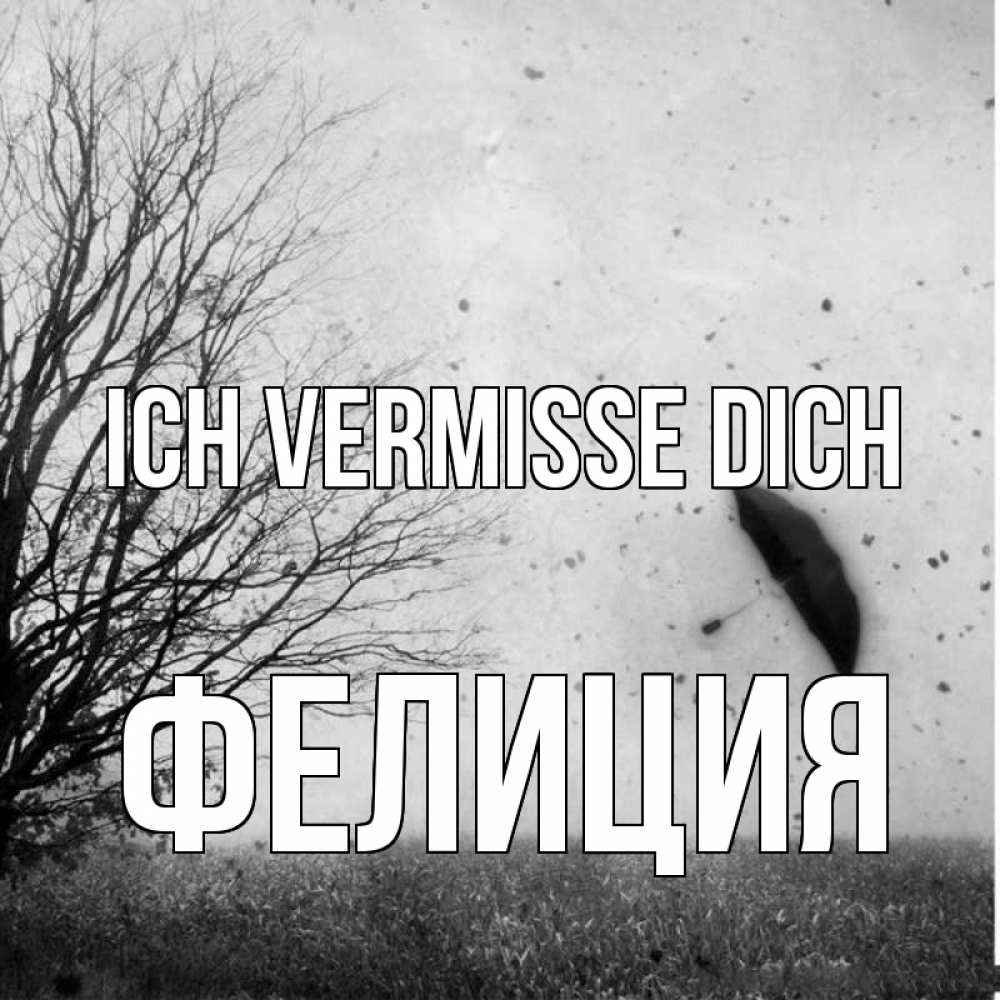 Открытка на каждый день с именем, Фелиция Ich vermisse dich зонт летит Прикольная открытка с пожеланием онлайн скачать бесплатно 