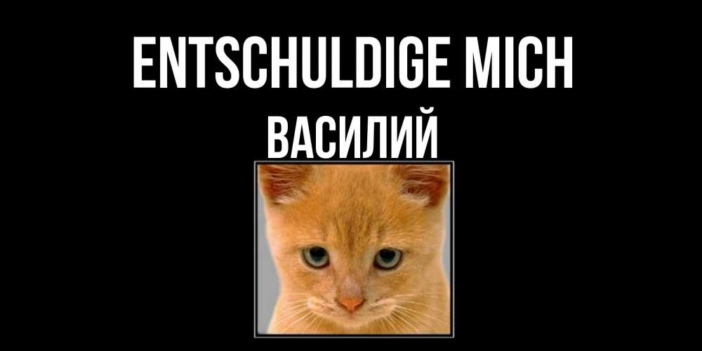 Открытка на каждый день с именем, Василий Entschuldige mich рыжий грустный кот просит прощения Прикольная открытка с пожеланием онлайн скачать бесплатно 