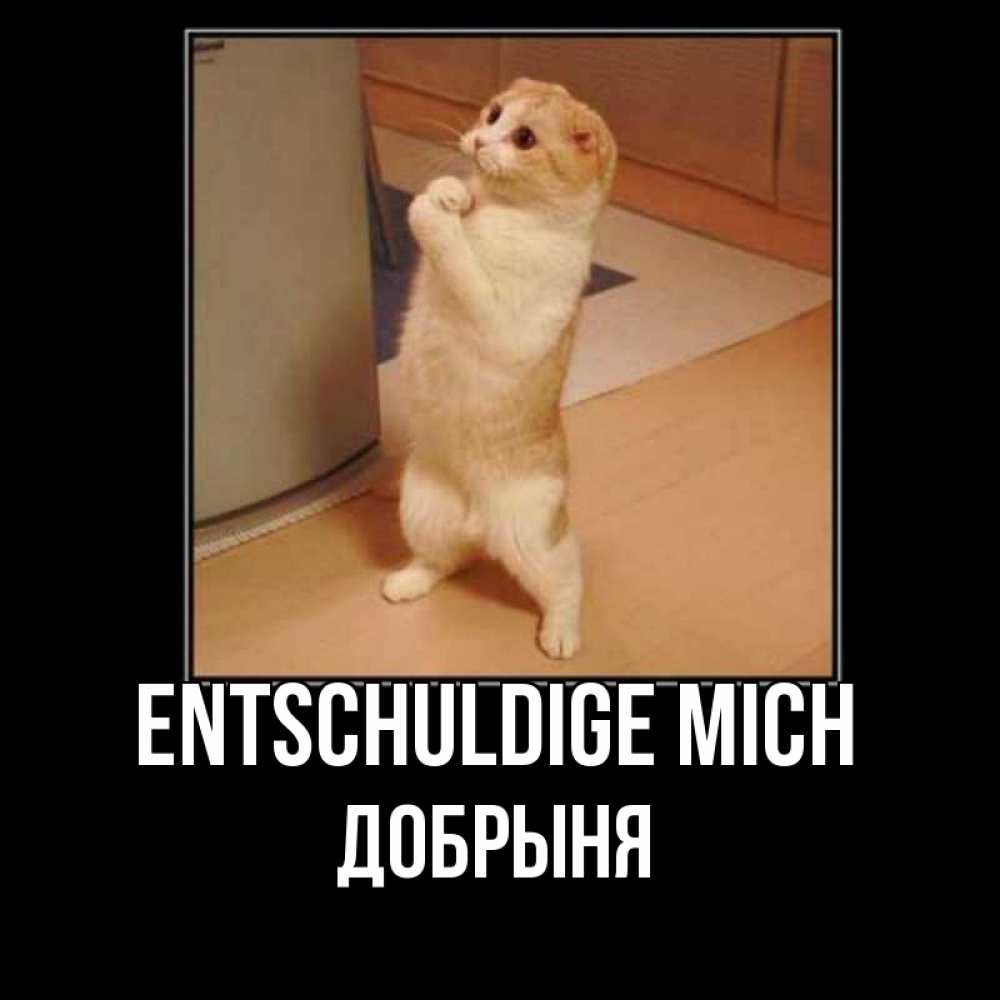 Открытка на каждый день с именем, Добрыня Entschuldige mich открытка с милым несчастным котиком просящим прощения Прикольная открытка с пожеланием онлайн скачать бесплатно 