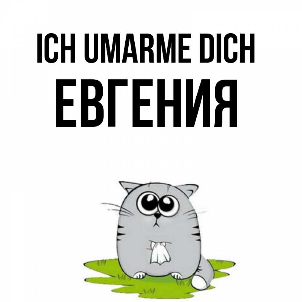 Открытка на каждый день с именем, Евгения Ich umarme dich котик теребит платочек сидя на травке Прикольная открытка с пожеланием онлайн скачать бесплатно 