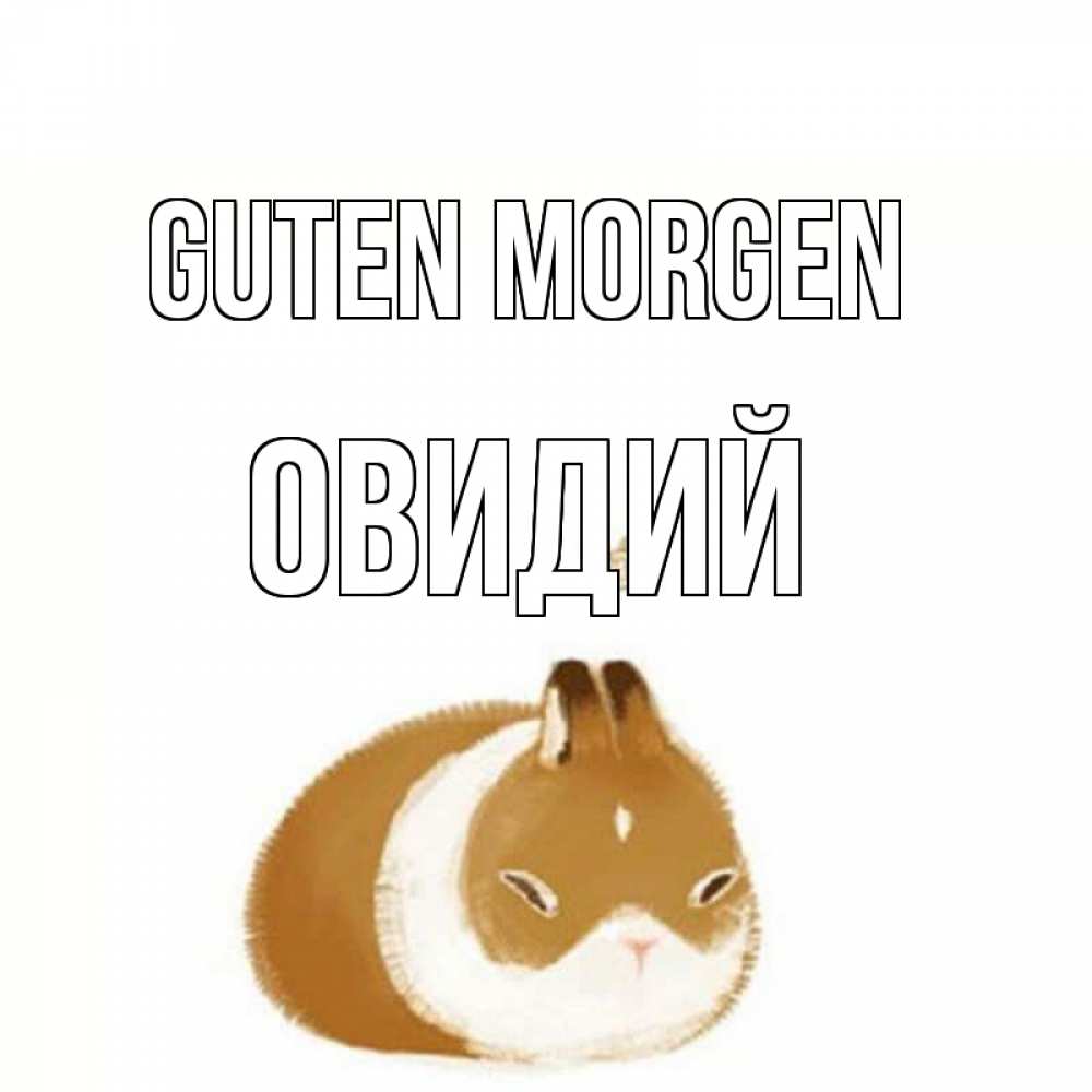 Открытка на каждый день с именем, Овидий Guten Morgen хорошего утречка Прикольная открытка с пожеланием онлайн скачать бесплатно 