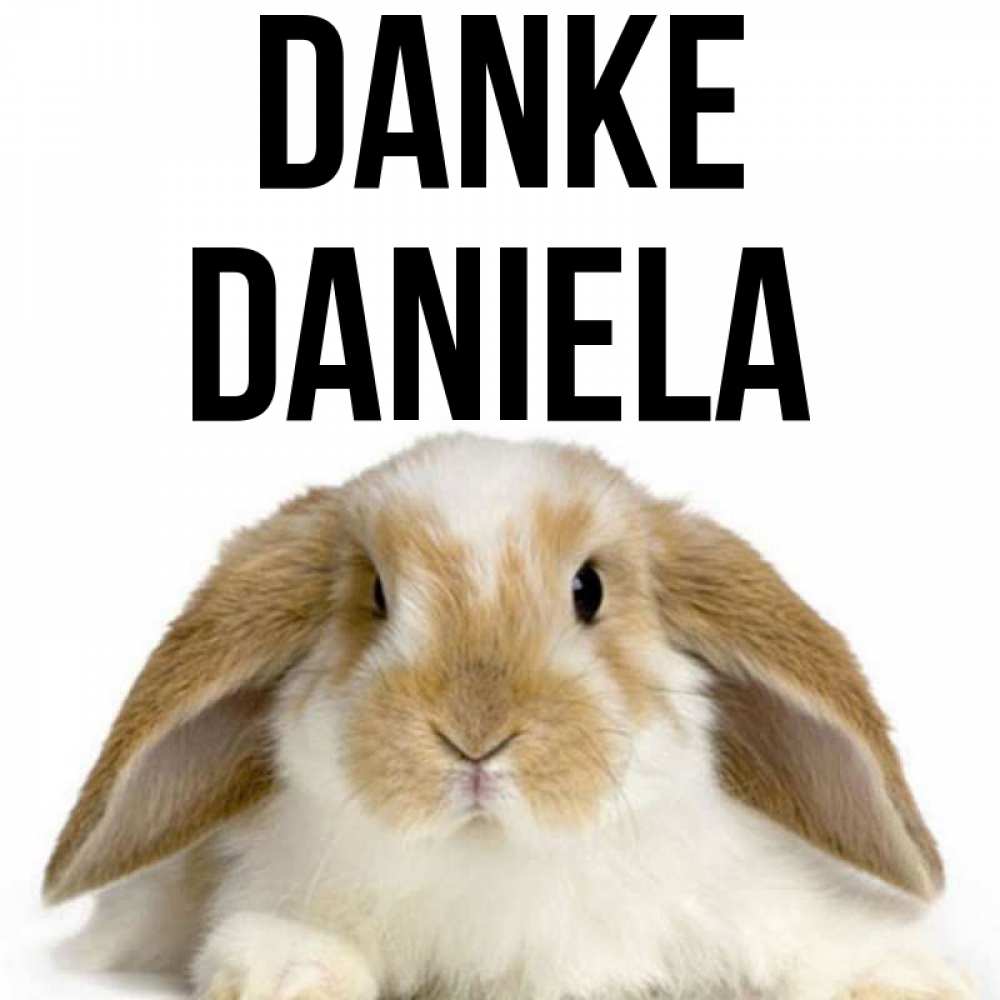 Открытка на каждый день с именем, Daniela Danke коричнево белый заяц Прикольная открытка с пожеланием онлайн скачать бесплатно 
