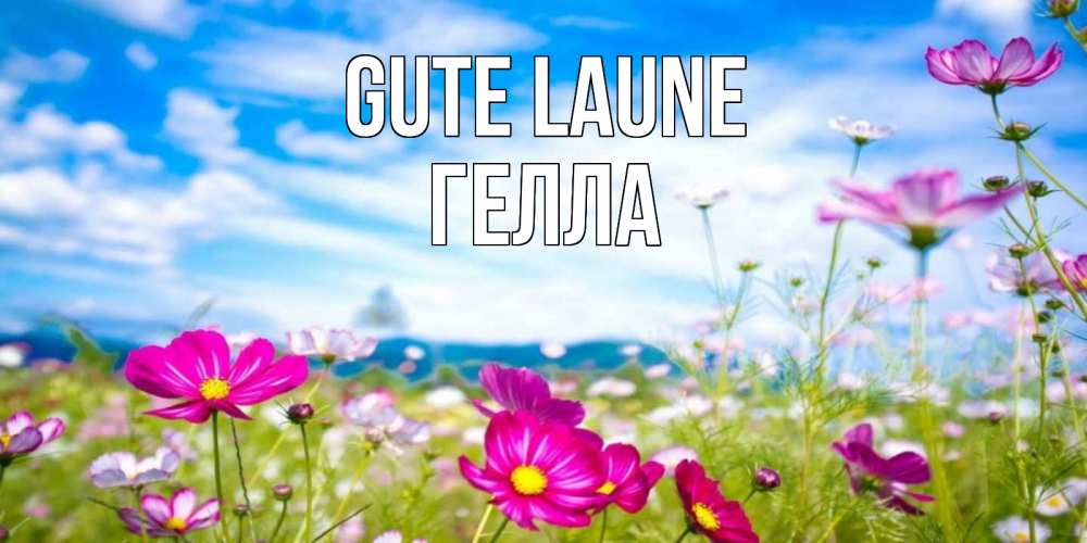 Открытка на каждый день с именем, Гелла Gute Laune поле цветов Прикольная открытка с пожеланием онлайн скачать бесплатно 