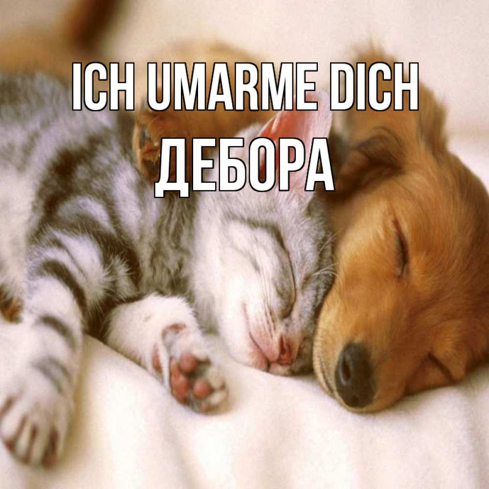 Открытка на каждый день с именем, Дебора Ich umarme dich пес и котенок Прикольная открытка с пожеланием онлайн скачать бесплатно 