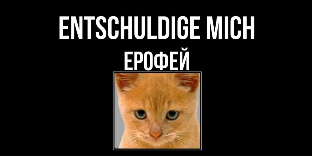 Открытка на каждый день с именем, Ерофей Entschuldige mich рыжий грустный кот просит прощения Прикольная открытка с пожеланием онлайн скачать бесплатно 
