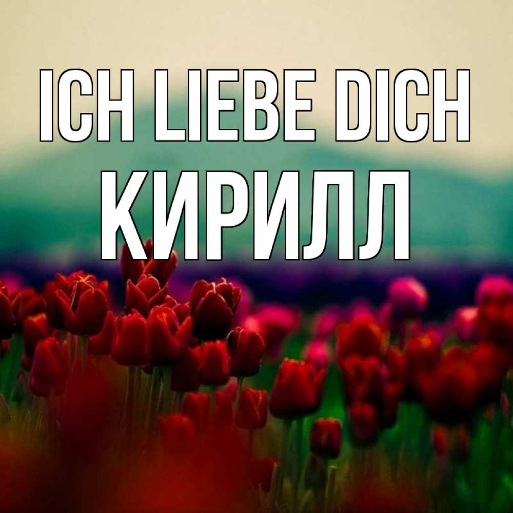 Открытка на каждый день с именем, Кирилл Ich liebe dich тюльпаны 4 Прикольная открытка с пожеланием онлайн скачать бесплатно 