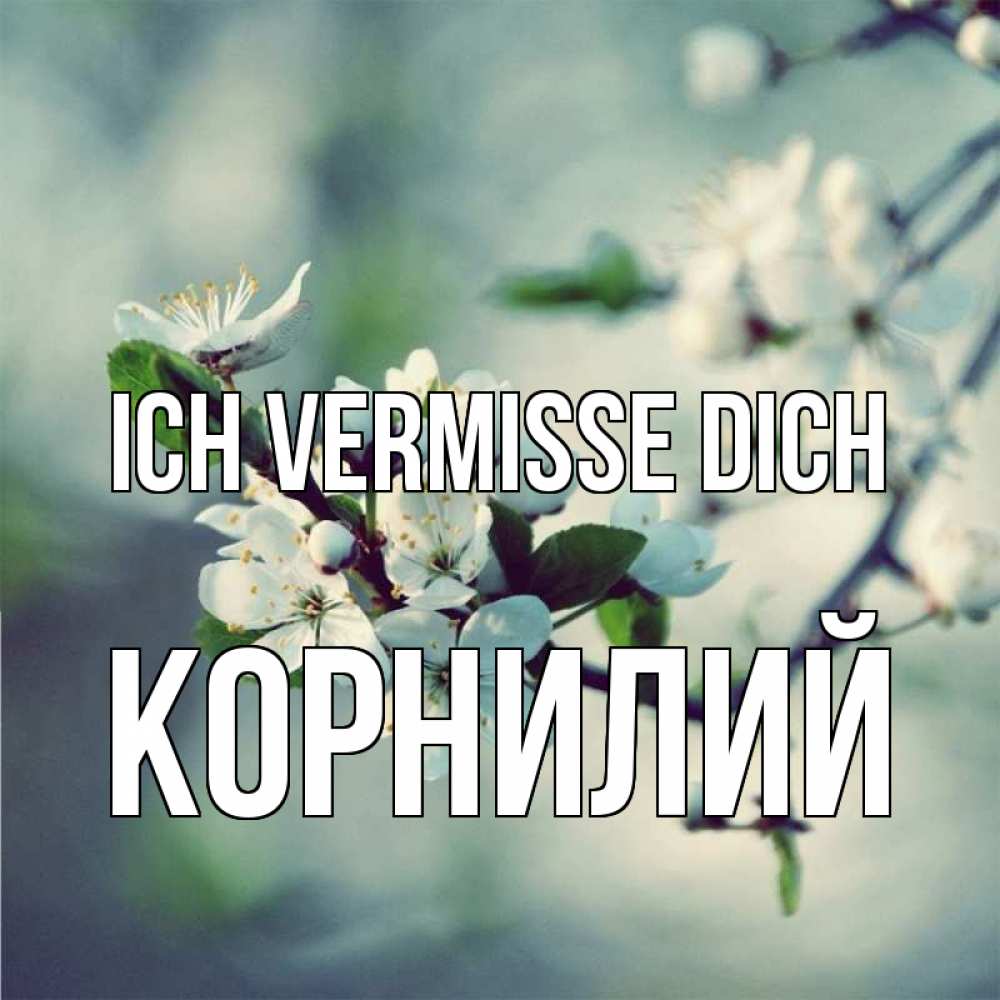 Открытка на каждый день с именем, Корнилий Ich vermisse dich весна Прикольная открытка с пожеланием онлайн скачать бесплатно 