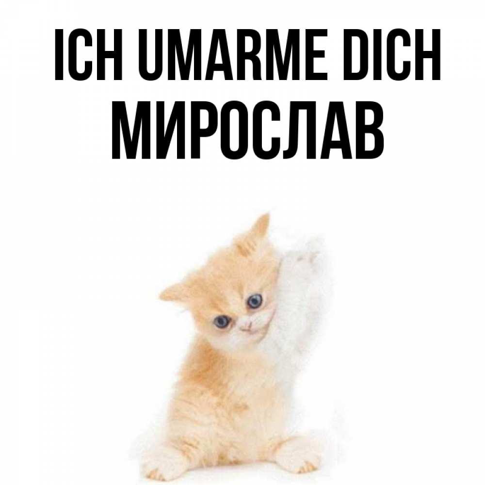 Открытка на каждый день с именем, Мирослав Ich umarme dich я хочу очень скорее обнимаешек Прикольная открытка с пожеланием онлайн скачать бесплатно 