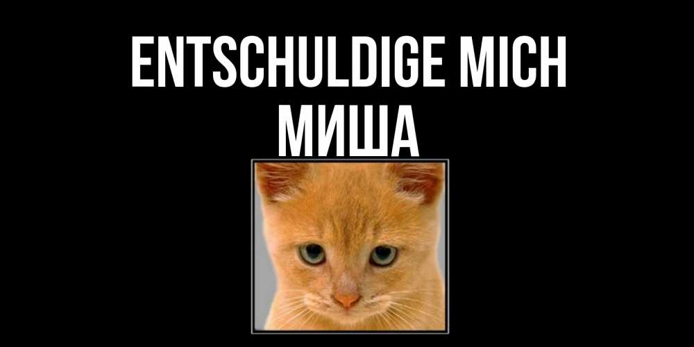 Открытка на каждый день с именем, Миша Entschuldige mich рыжий грустный кот просит прощения Прикольная открытка с пожеланием онлайн скачать бесплатно 