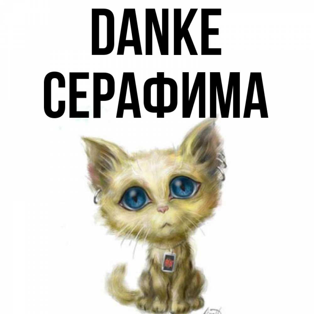 Открытка на каждый день с именем, Серафима Danke рисованный кот благодарит вас Прикольная открытка с пожеланием онлайн скачать бесплатно 