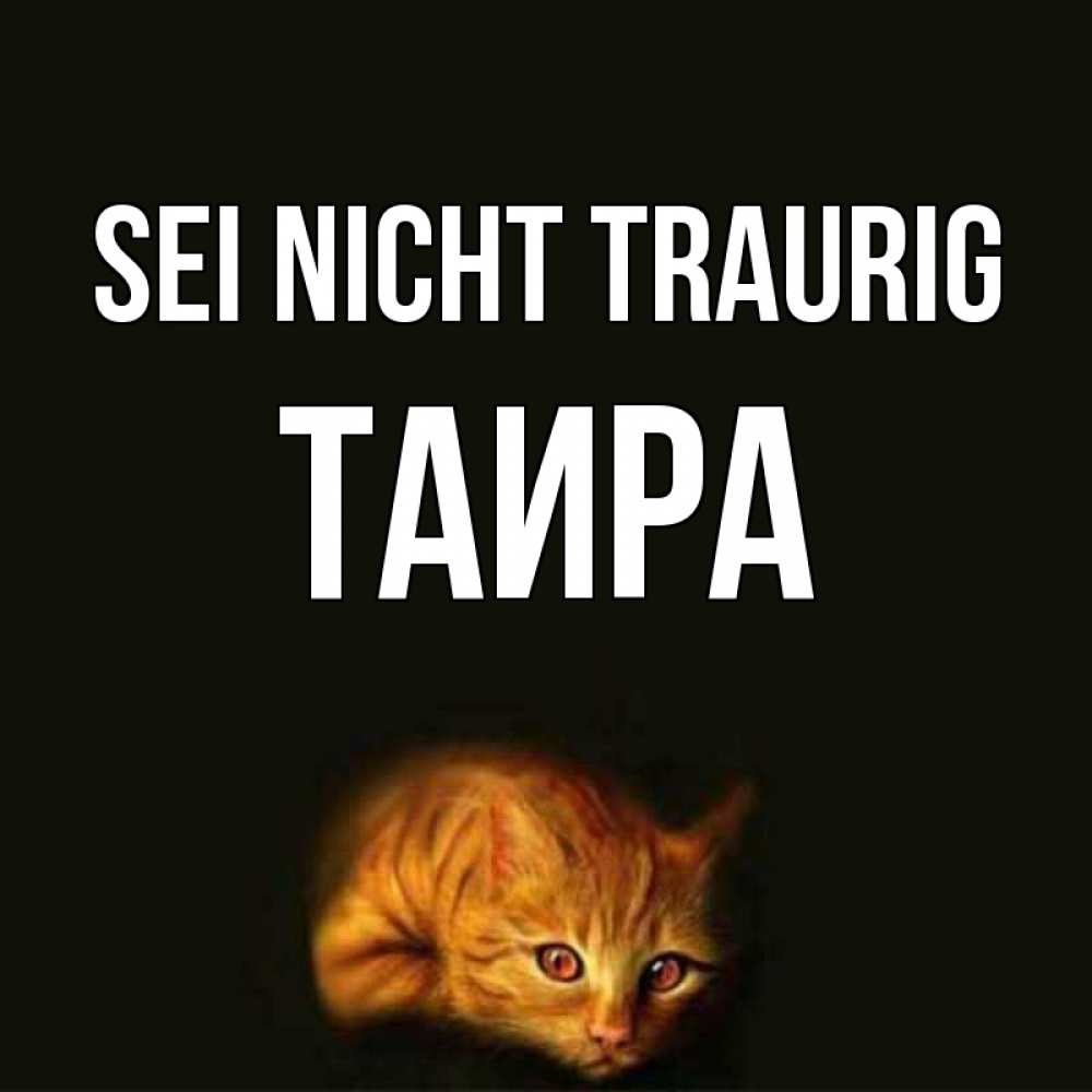 Открытка на каждый день с именем, Таира Sei nicht traurig лежащий кот в темноте Прикольная открытка с пожеланием онлайн скачать бесплатно 