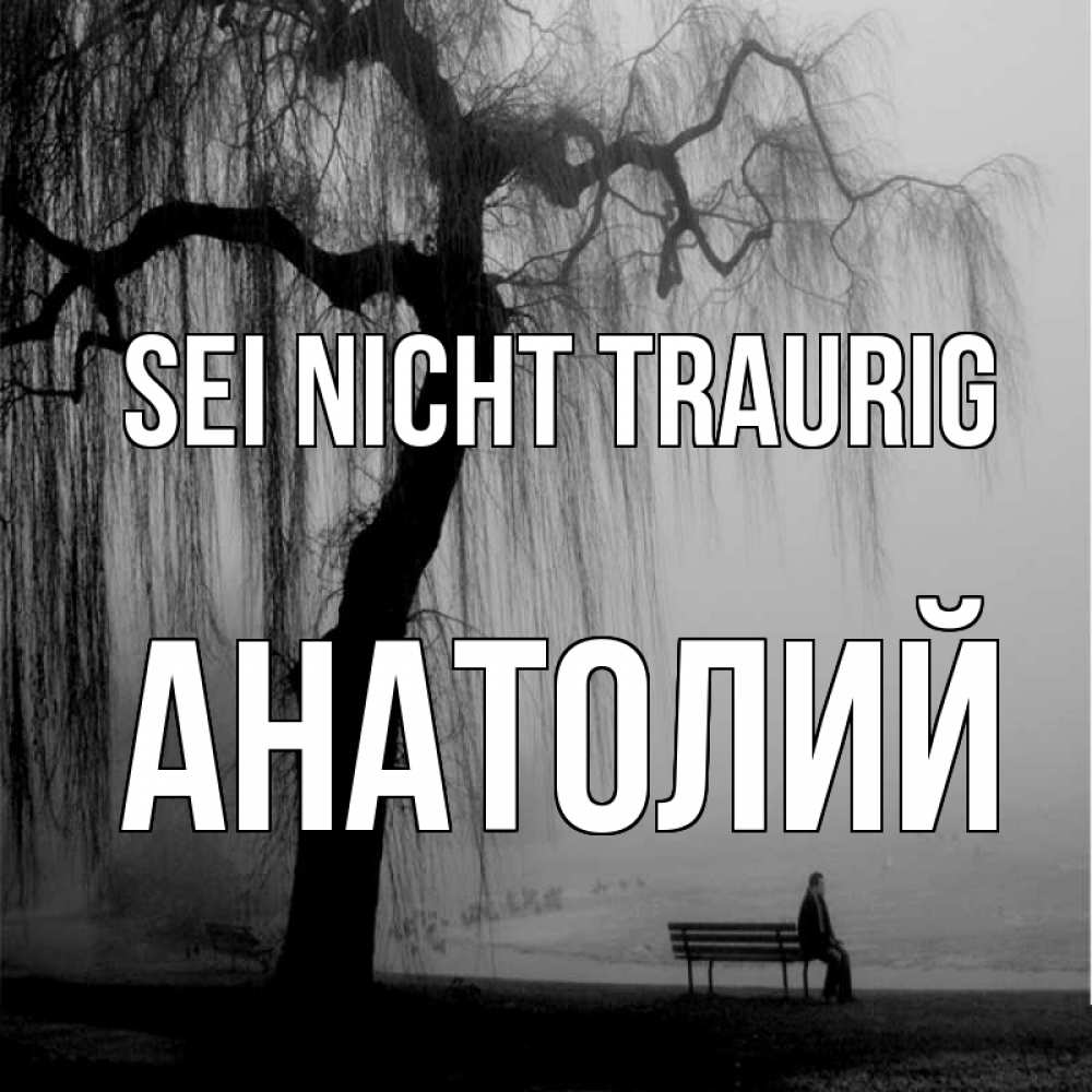 Открытка на каждый день с именем, Анатолий Sei nicht traurig висящие ветки дерева и лавочка под деревом Прикольная открытка с пожеланием онлайн скачать бесплатно 