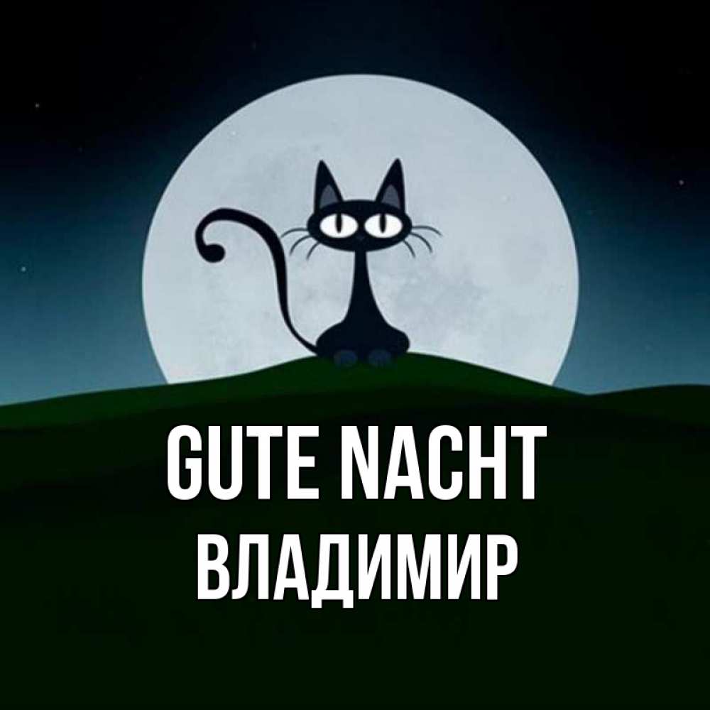 Открытка на каждый день с именем, Владимир Gute Nacht хорошо выспаться ночью и без кошмаров Прикольная открытка с пожеланием онлайн скачать бесплатно 