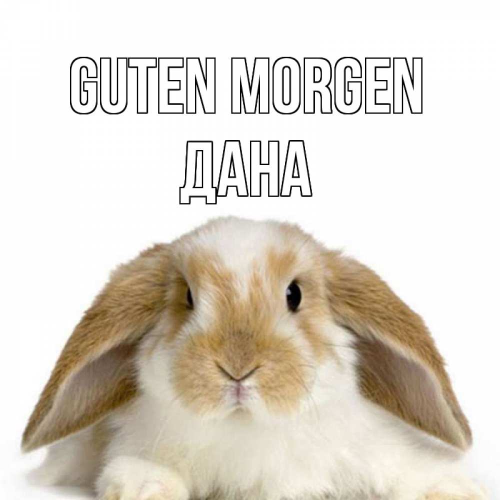 Открытка на каждый день с именем, Дана Guten Morgen прикольные открытки на каждый день Прикольная открытка с пожеланием онлайн скачать бесплатно 