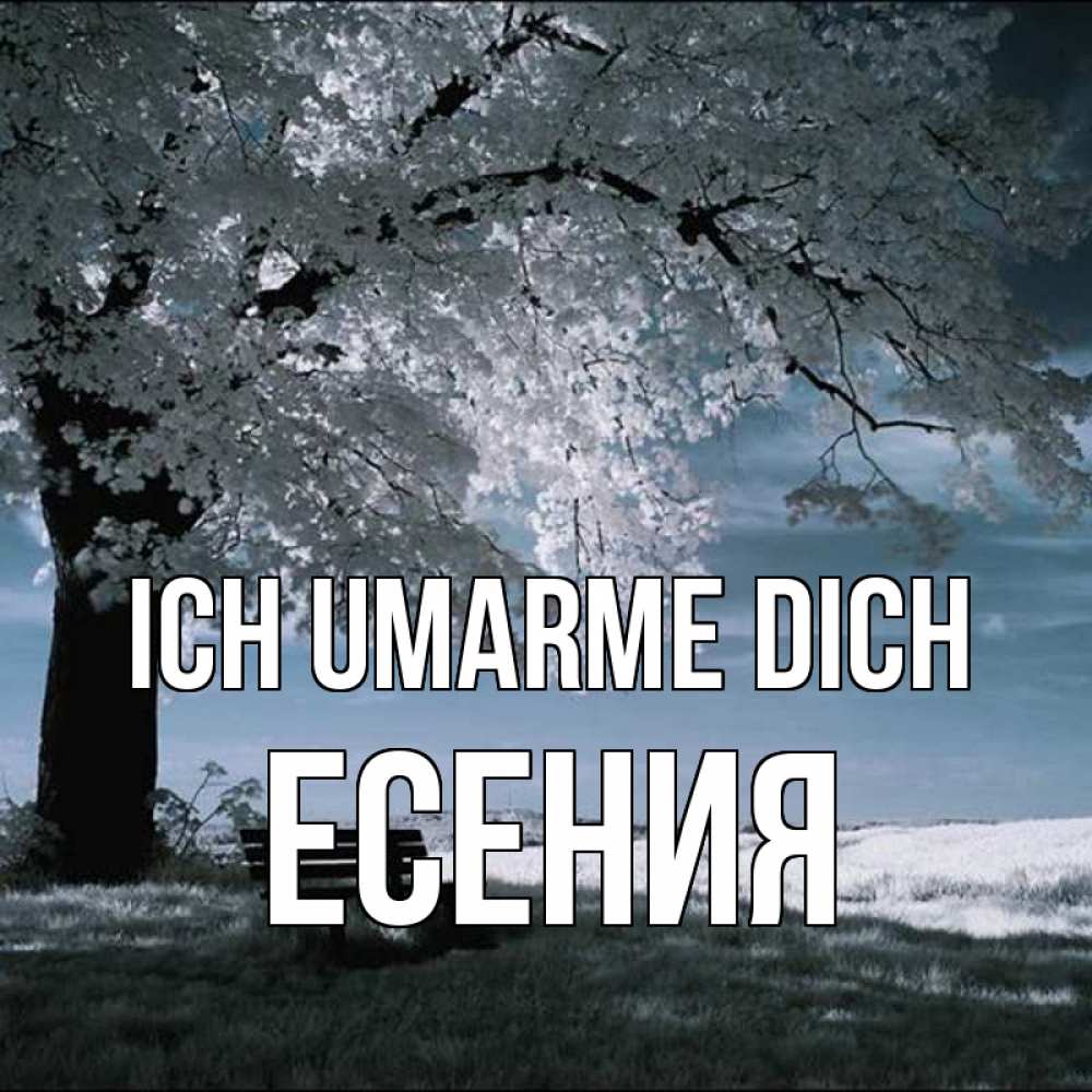 Открытка на каждый день с именем, Есения Ich umarme dich дерево Прикольная открытка с пожеланием онлайн скачать бесплатно 