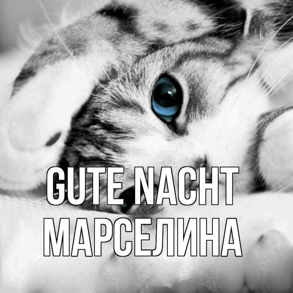 Открытка на каждый день с именем, Марселина Gute Nacht кот устал Прикольная открытка с пожеланием онлайн скачать бесплатно 