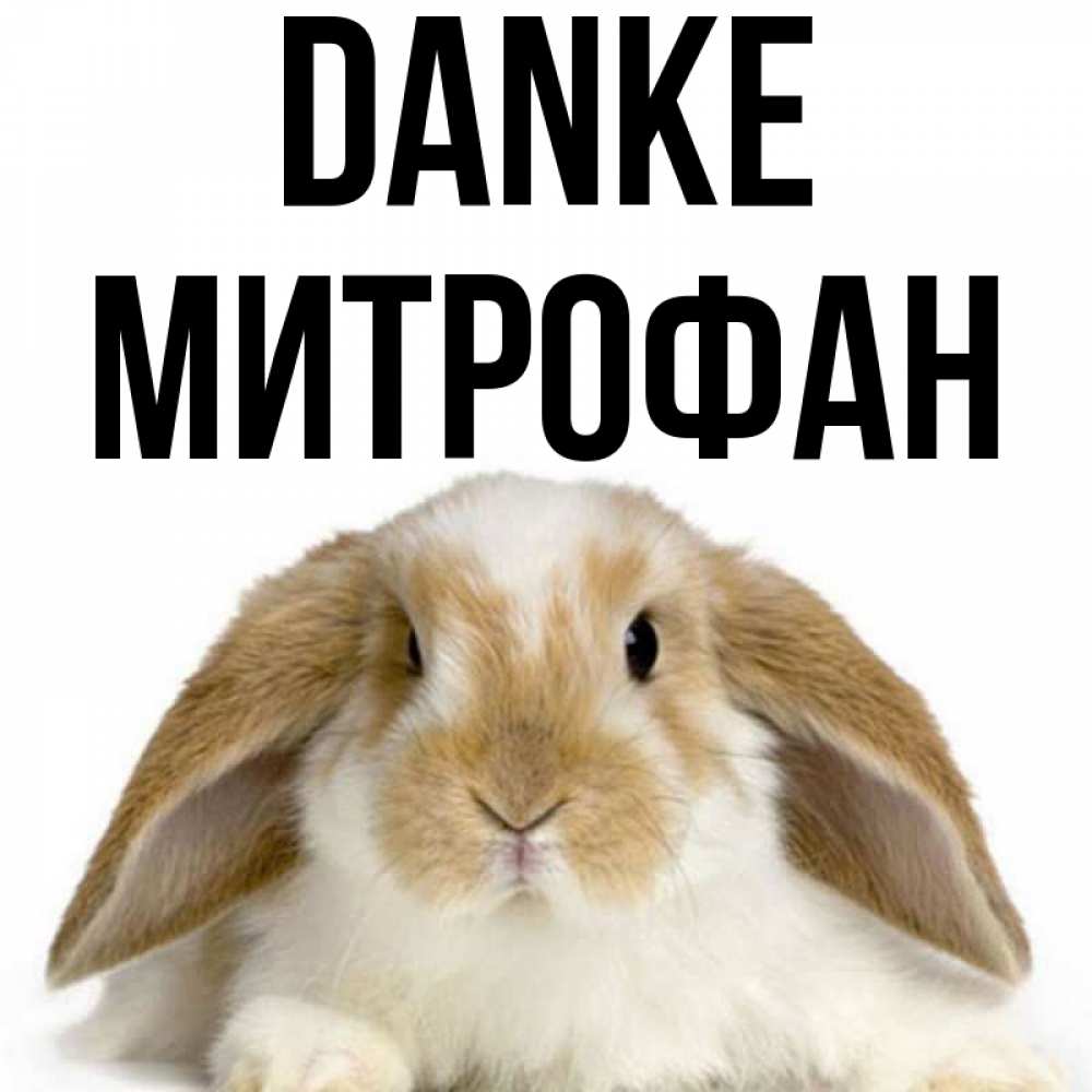 Открытка на каждый день с именем, Митрофан Danke коричнево белый заяц Прикольная открытка с пожеланием онлайн скачать бесплатно 