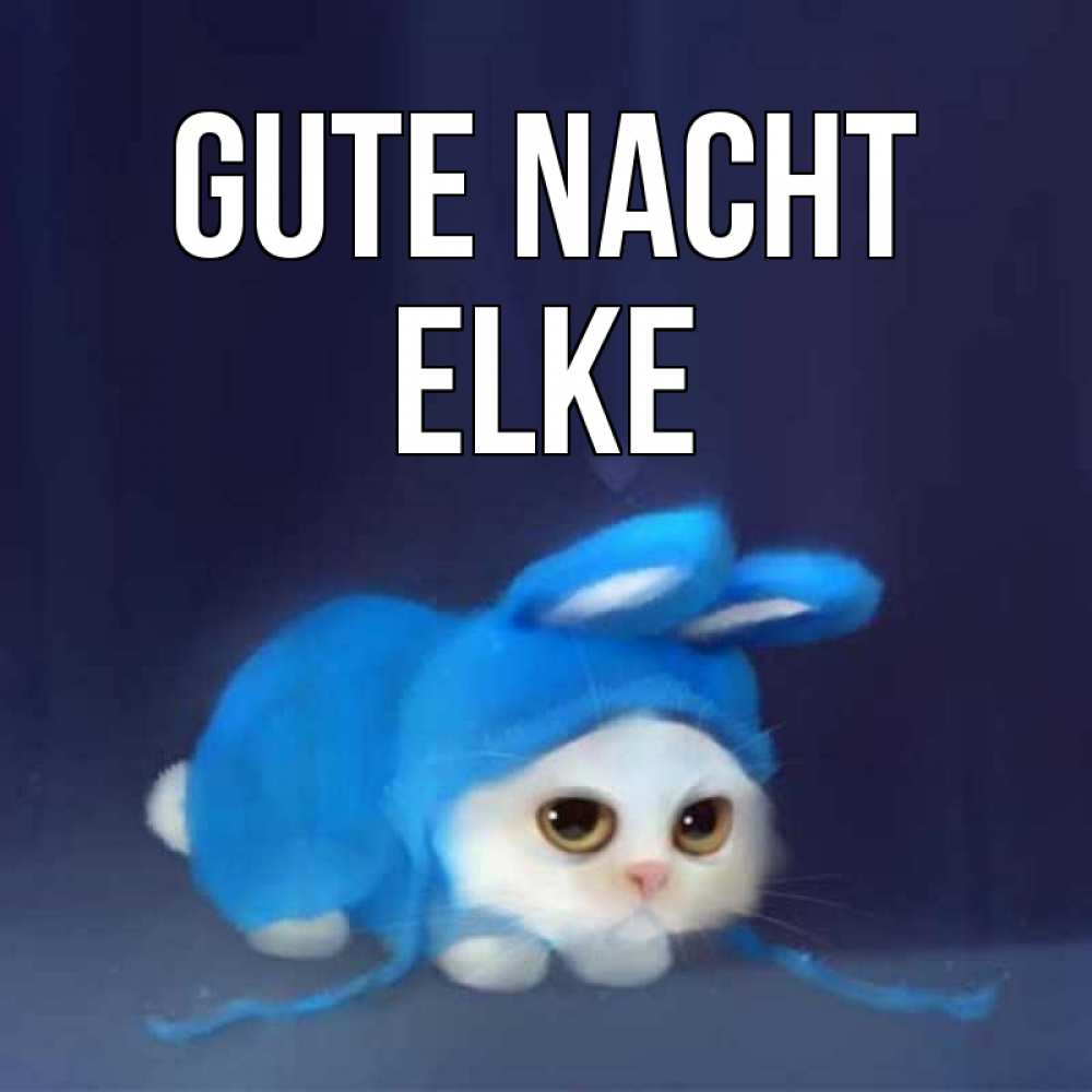 Открытка на каждый день с именем, Elke Gute Nacht кот в голубом костюме кролика с ушками Прикольная открытка с пожеланием онлайн скачать бесплатно 