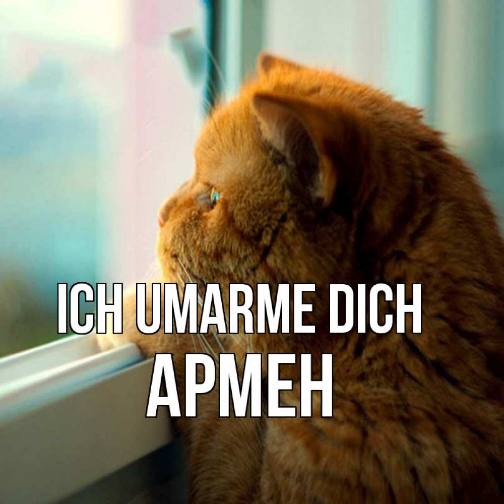 Открытка на каждый день с именем, Армен Ich umarme dich большой огромный рыжий котяра Прикольная открытка с пожеланием онлайн скачать бесплатно 
