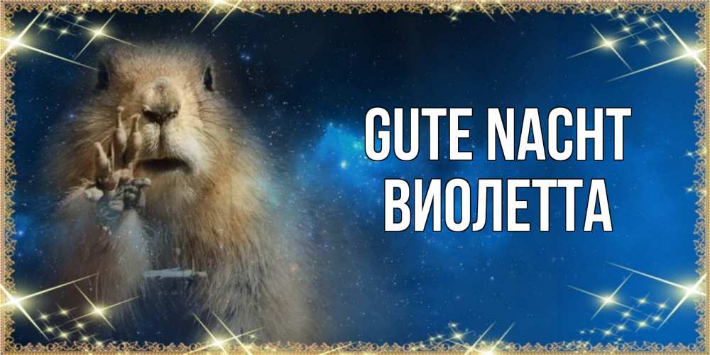 Открытка на каждый день с именем, Виолетта Gute Nacht спокойной ночи сладких снов Прикольная открытка с пожеланием онлайн скачать бесплатно 