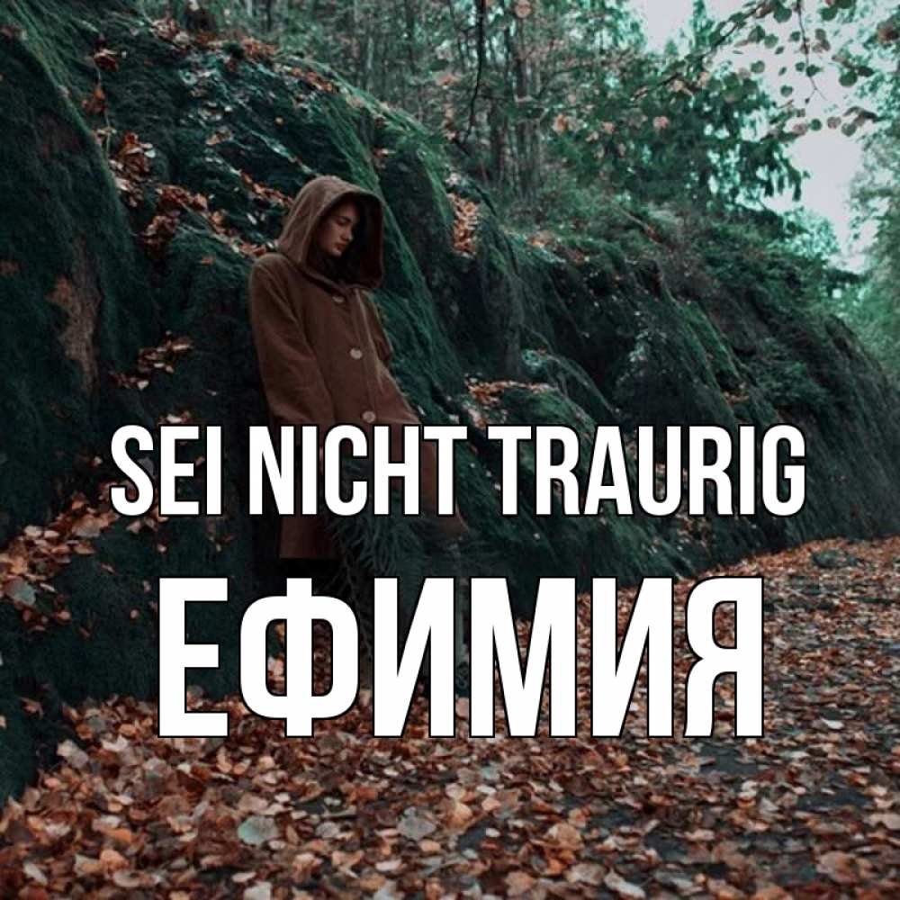 Открытка на каждый день с именем, Ефимия Sei nicht traurig осенний лес Прикольная открытка с пожеланием онлайн скачать бесплатно 