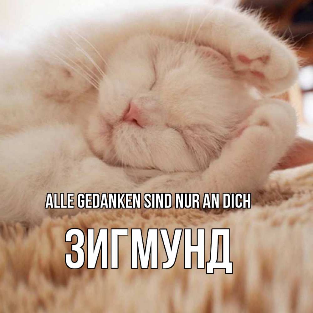 Открытка на каждый день с именем, Зигмунд Alle Gedanken sind nur an dich для любимой девушки милота Прикольная открытка с пожеланием онлайн скачать бесплатно 