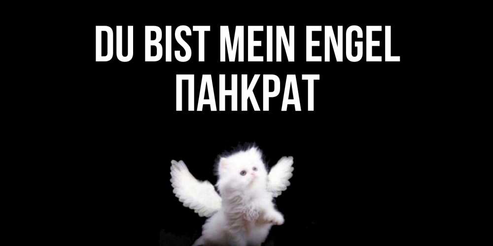 Открытка на каждый день с именем, Панкрат Du bist mein Engel Кот ангел Прикольная открытка с пожеланием онлайн скачать бесплатно 