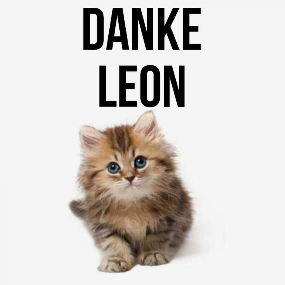 Открытка на каждый день с именем, Leon Danke пушистый котик Прикольная открытка с пожеланием онлайн скачать бесплатно 