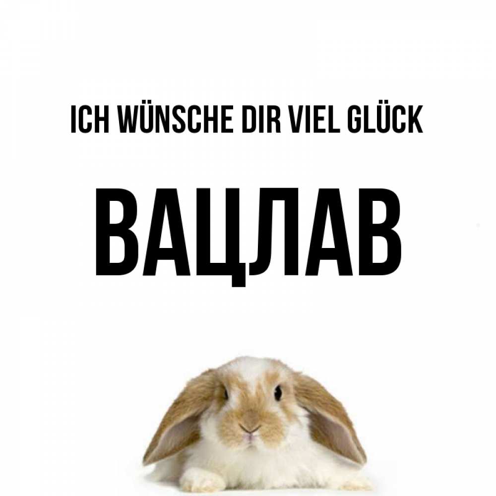 Открытка на каждый день с именем, Вацлав Ich wünsche dir viel Glück открытки с произвольным текстом который можно вставить в открытку и создать ее самостоятельно бесплатно онлайн Прикольная открытка с пожеланием онлайн скачать бесплатно 