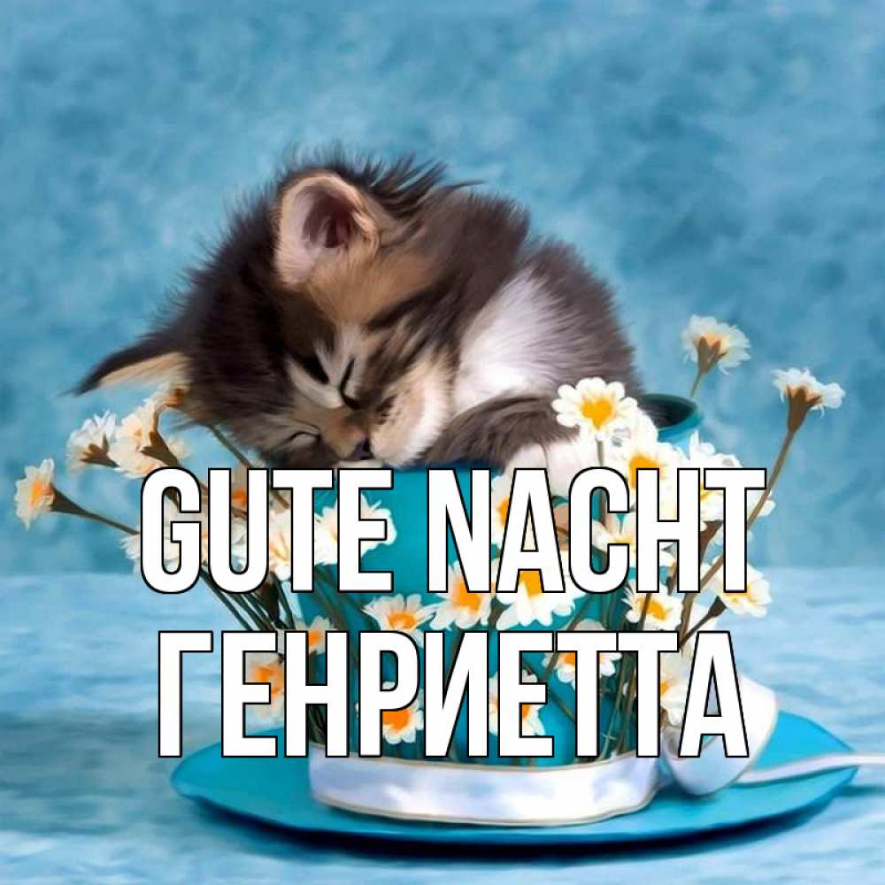 Открытка на каждый день с именем, Генриетта Gute Nacht котенок спит в кружке с блюдцем Прикольная открытка с пожеланием онлайн скачать бесплатно 