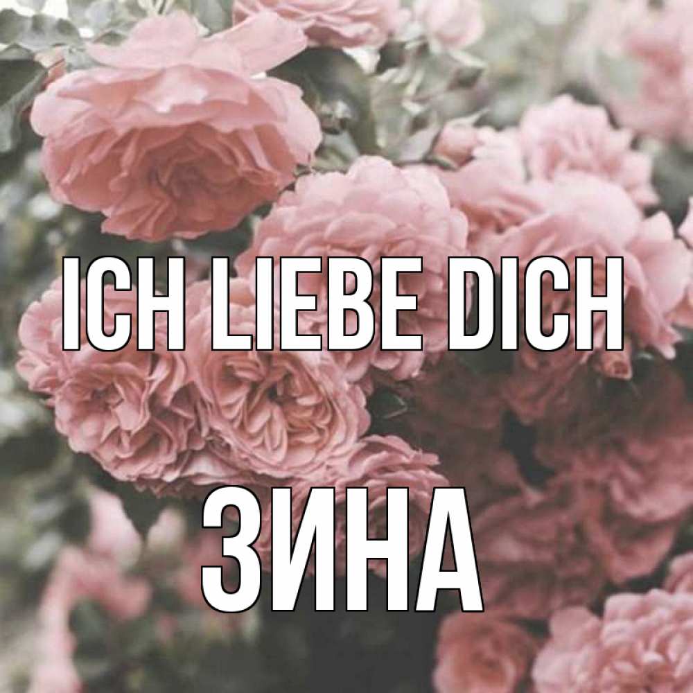 Открытка на каждый день с именем, Зина Ich liebe dich розы 3 Прикольная открытка с пожеланием онлайн скачать бесплатно 