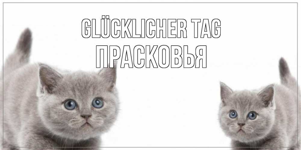 Открытка на каждый день с именем, Прасковья Glücklicher Tag открытка с котами Прикольная открытка с пожеланием онлайн скачать бесплатно 