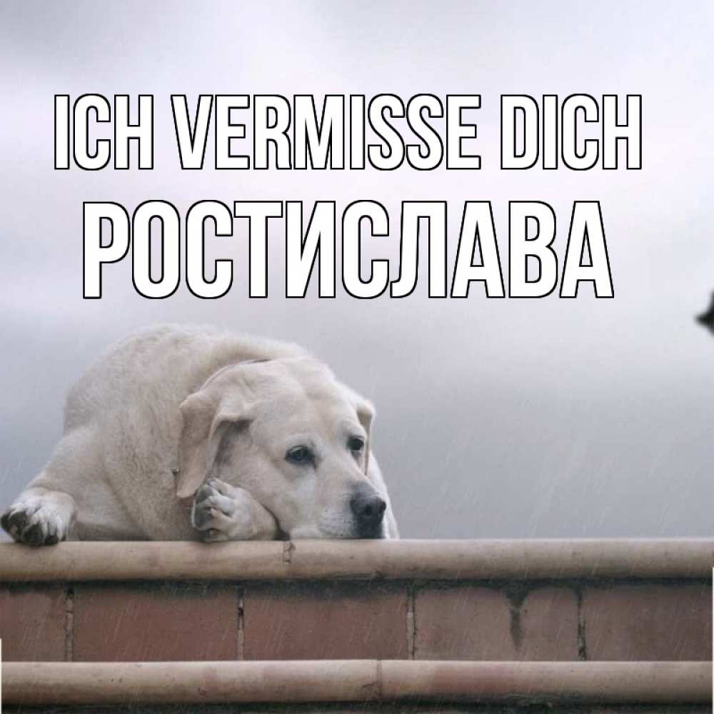 Открытка на каждый день с именем, Ростислава Ich vermisse dich ждет Прикольная открытка с пожеланием онлайн скачать бесплатно 