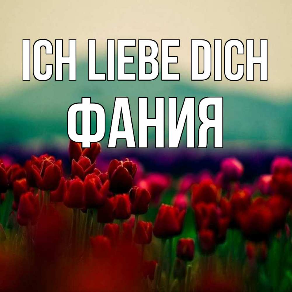 Открытка на каждый день с именем, Фания Ich liebe dich тюльпаны 4 Прикольная открытка с пожеланием онлайн скачать бесплатно 